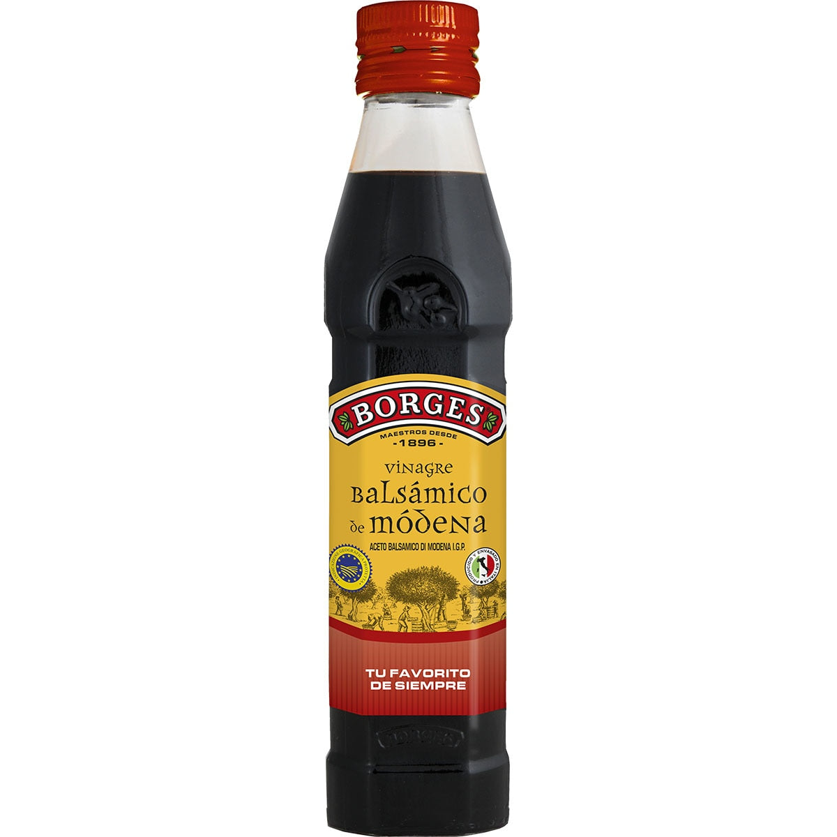 Balsamic vinegar of Modena BORGES